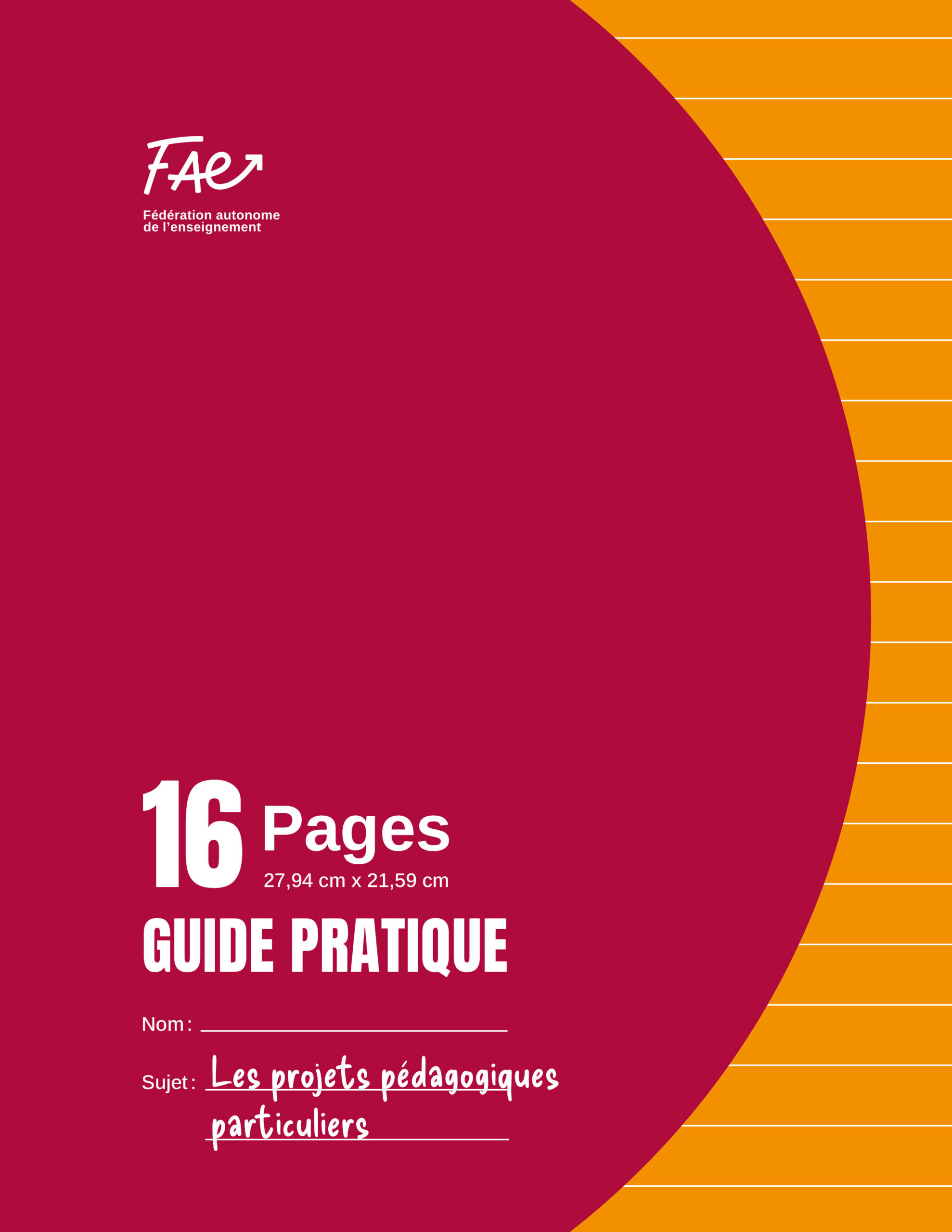 Les projets pédagogiques particuliers