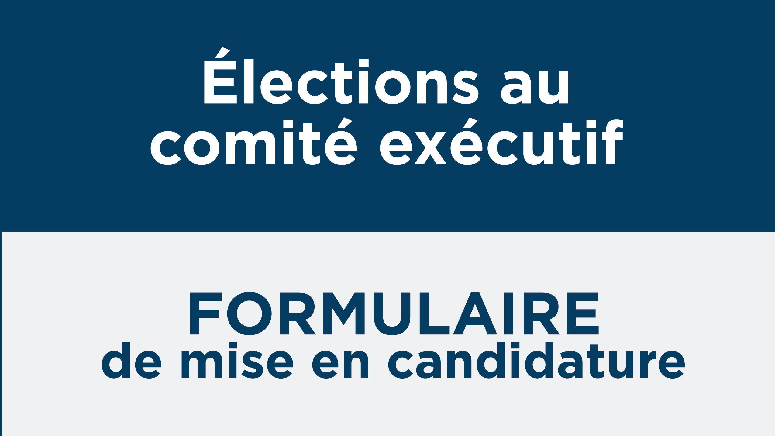 Formulaire de mise en candidature – élection